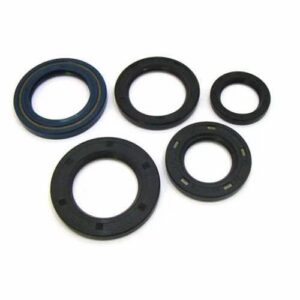 Engine Oil Seal